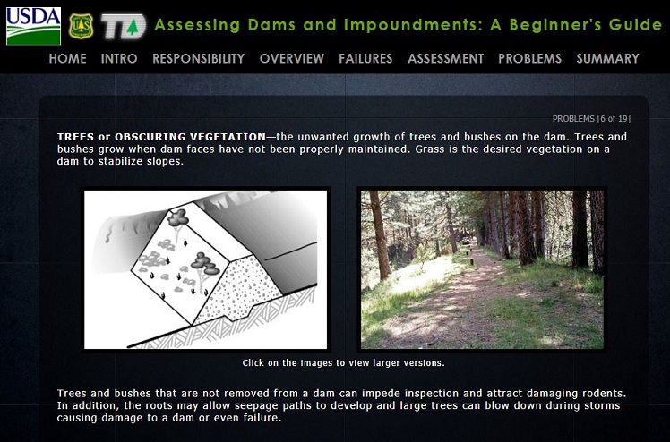 Earthen Dam Inspection – At the Root of Embankment Safety
